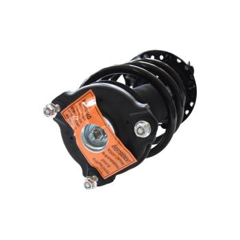 GSP 883395 Suspension Strut and Coil Spring Assembly product image 1 of 3
