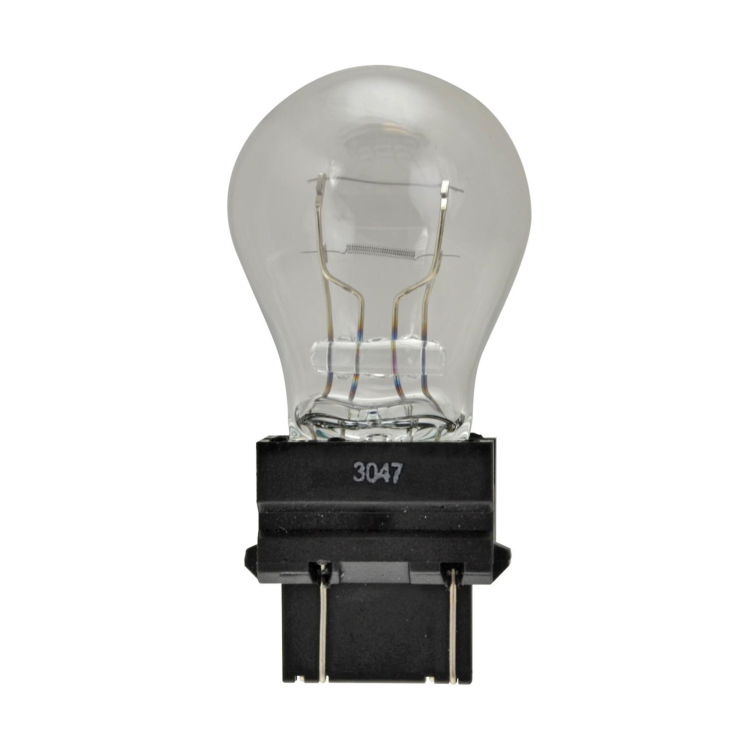HELLA 3047 - Multi Purpose Light Bulb HELLA 3047 Back Up Light Bulb product image 1 of 2