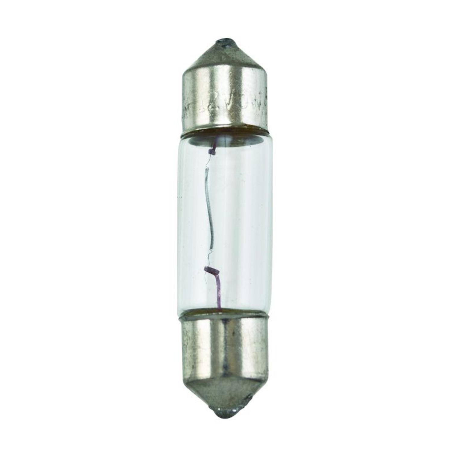 HELLA 6428 Courtesy Light Bulb product image 1 of 2
