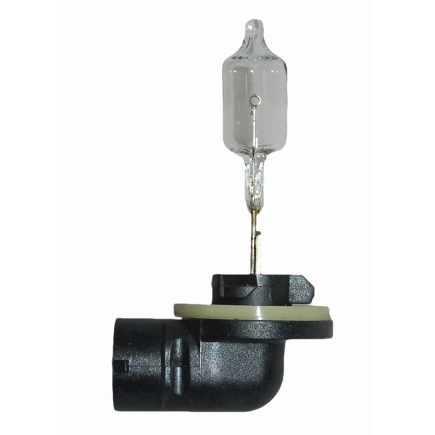 HELLA 862 - Multi Purpose Light Bulb HELLA 862 Headlight Bulb product image 1 of 2