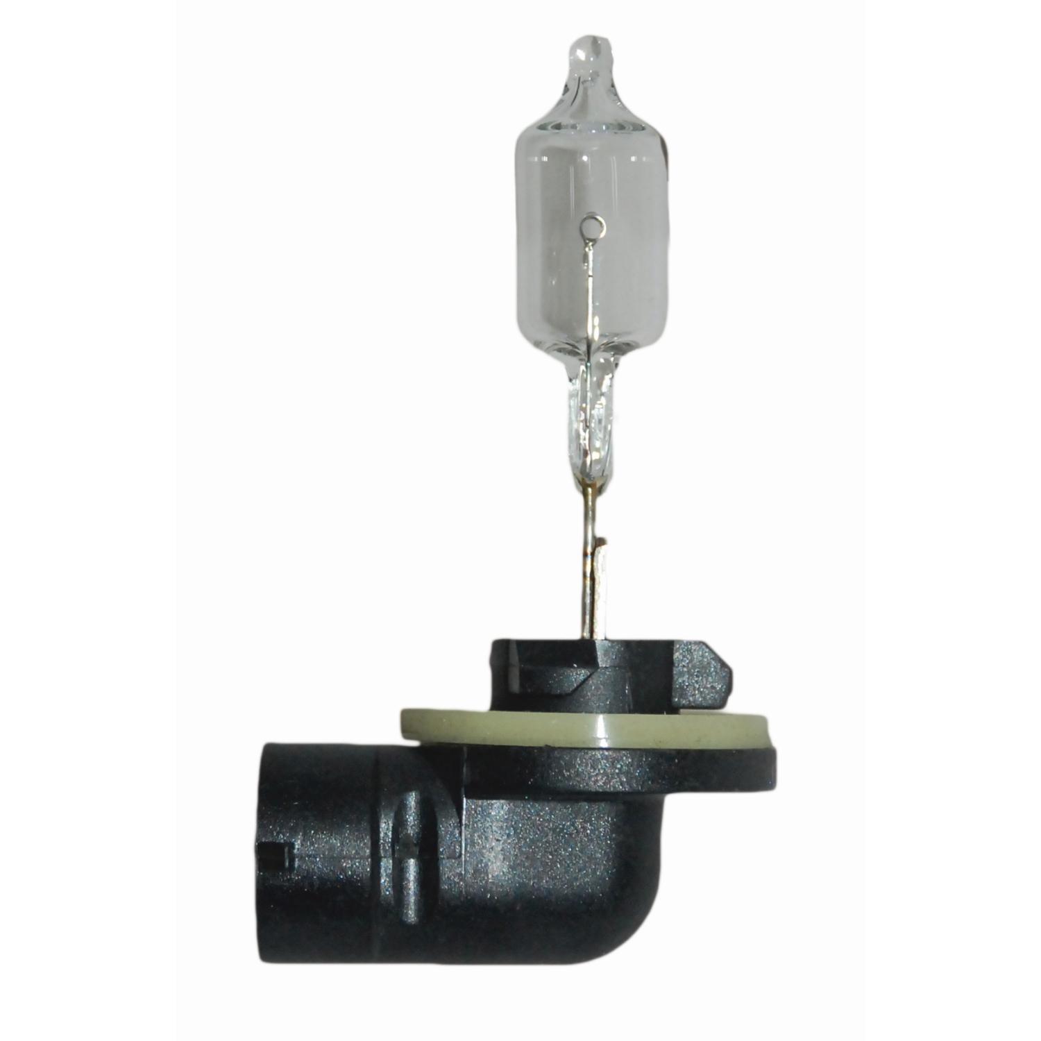 HELLA 886 - Multi Purpose Light Bulb HELLA 886 Fog Light Bulb product image 1 of 2