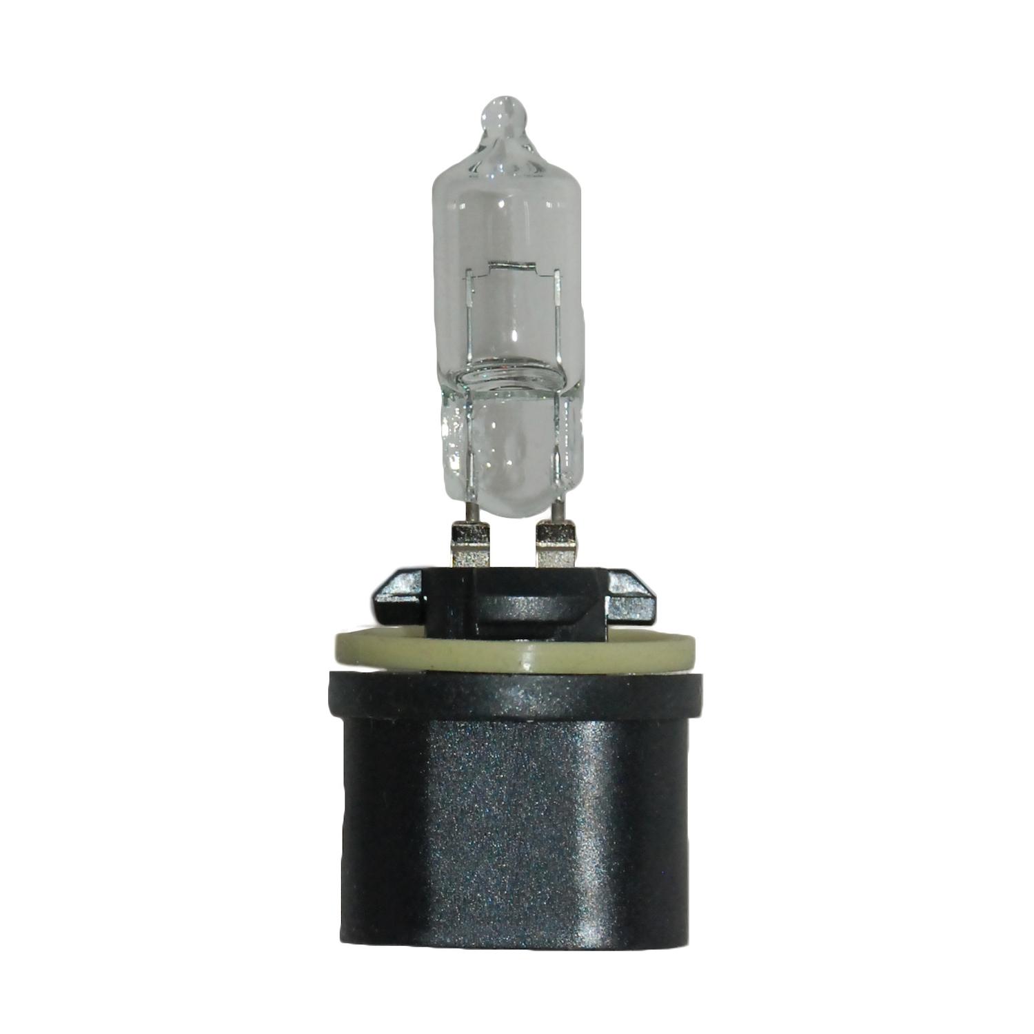 HELLA 890 - Multi Purpose Light Bulb HELLA 890 Back Up Light Bulb product image 1 of 2