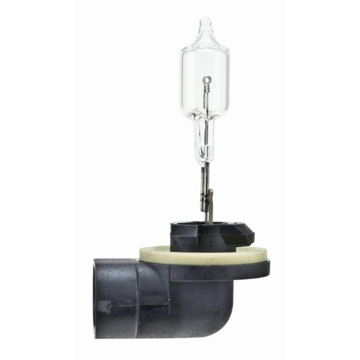 HELLA 894 - Multi Purpose Light Bulb HELLA 894 Fog Light Bulb product image 1 of 2