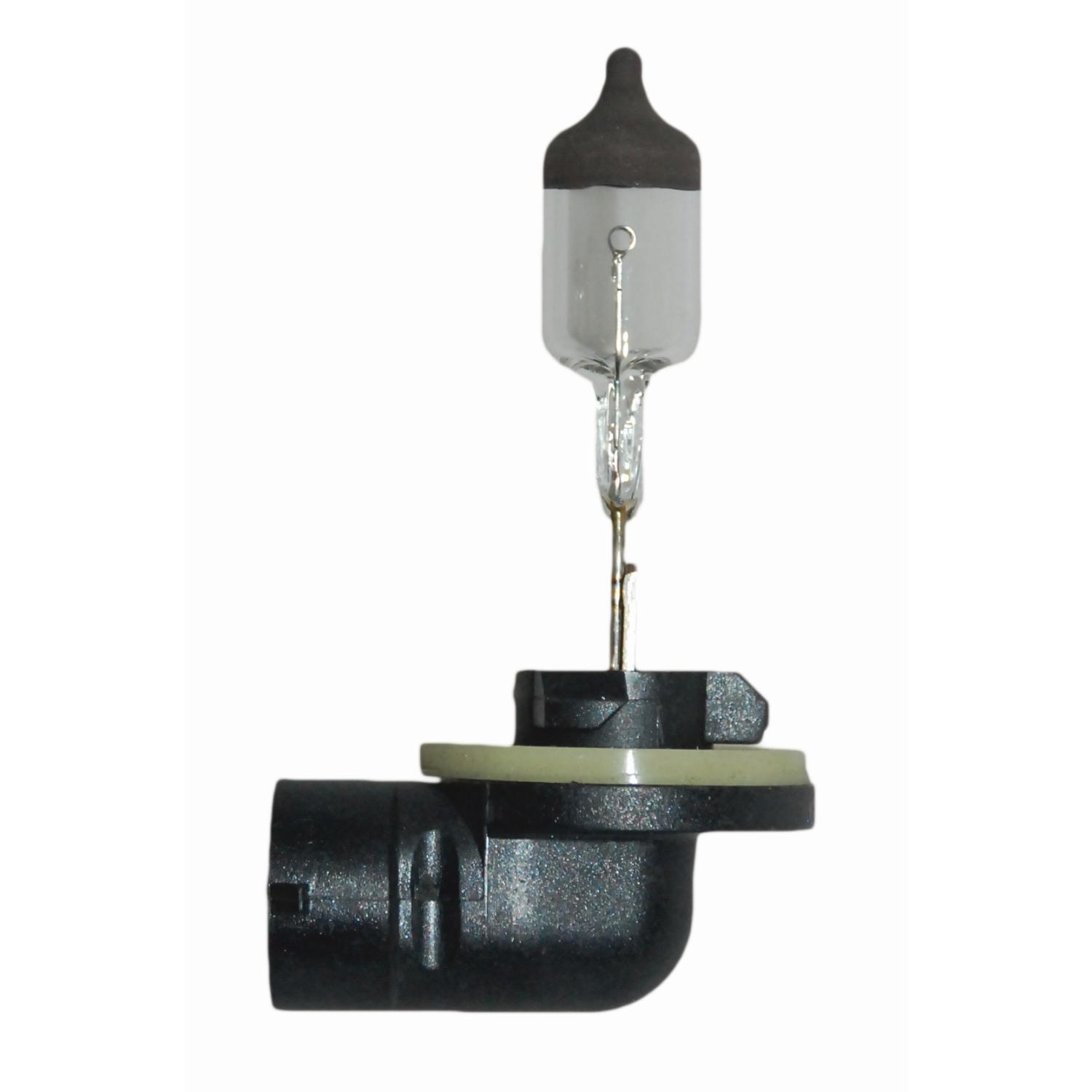 HELLA 896 - Multi Purpose Light Bulb HELLA 896 Fog Light Bulb product image 1 of 2