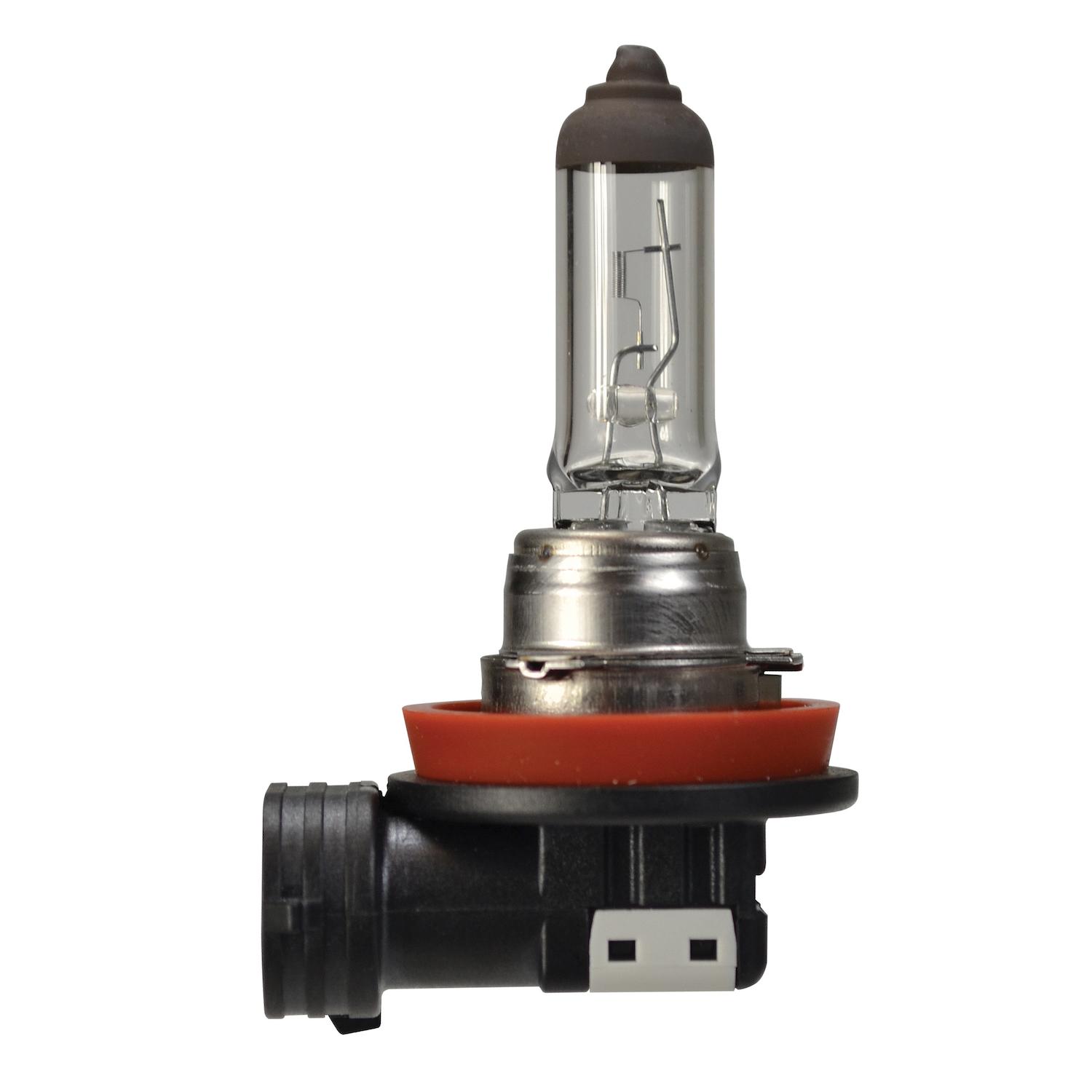 HELLA H16SB Fog Light Bulb product image 1 of 2
