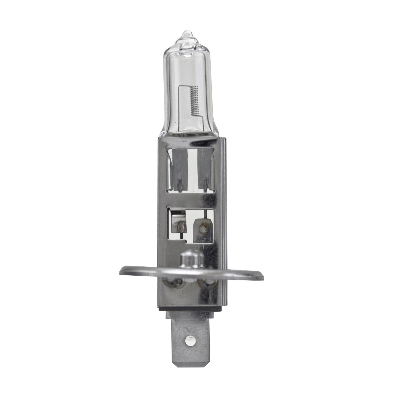 HELLA H1P50 - Multi Purpose Light Bulb HELLA H1P50 Daytime Running Light Bulb product image 1 of 2