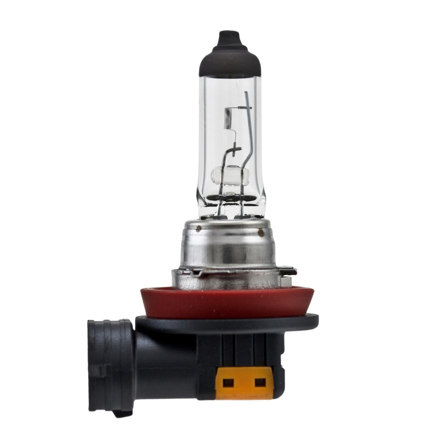 HELLA H8 - Multi Purpose Light Bulb HELLA H8 Cornering Light Bulb product image 1 of 2
