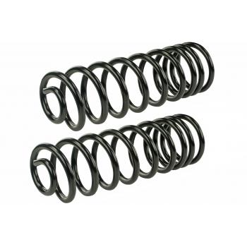 Mevotech SMS217V Coil Spring Set product image 1 of 1