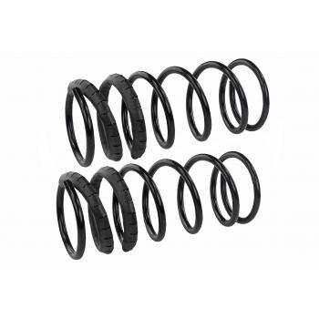Mevotech SMS228V Coil Spring Set product image 1 of 1