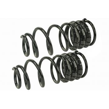 Mevotech SMS229V Coil Spring Set product image 1 of 1