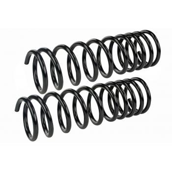 Mevotech SMS247V Coil Spring Set product image 1 of 1