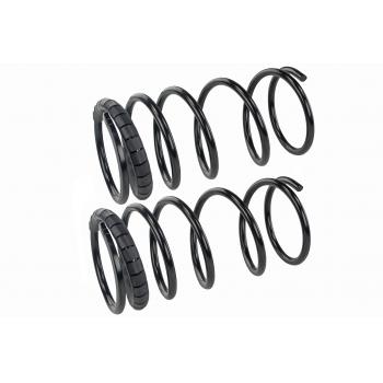 Mevotech SMS249V Coil Spring Set product image 1 of 1