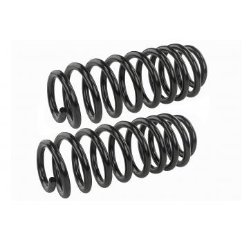 Mevotech SMS253V Coil Spring Set product image 1 of 1