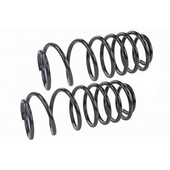 Mevotech SMS262V - Coil Spring Set Mevotech SMS262V Coil Spring Set product image 1 of 1