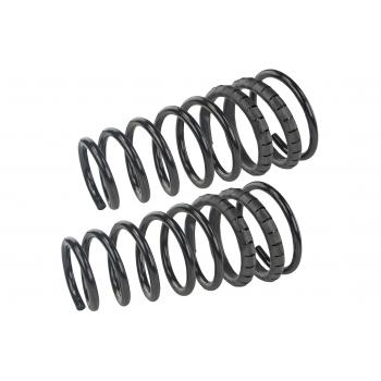 Mevotech SMS273V Coil Spring Set product image 1 of 1