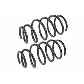 Mevotech SMS3222 Coil Spring Set product image 1 of 1
