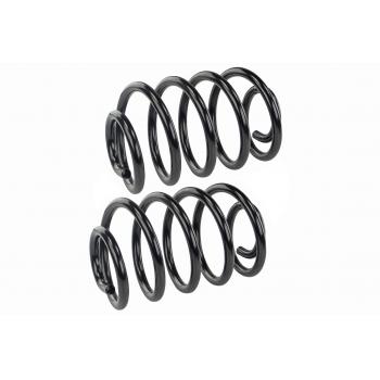 Mevotech SMS3229 Coil Spring Set product image 1 of 1