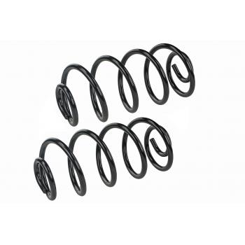 Mevotech SMS5041 Coil Spring Set product image 1 of 1