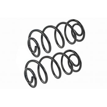 Mevotech SMS5329 Coil Spring Set product image 1 of 1