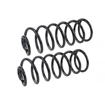 Mevotech SMS5529 Coil Spring Set product image 1 of 1