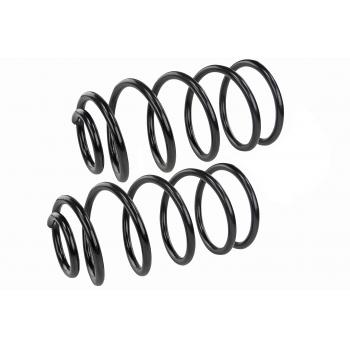 Mevotech SMS60197 Coil Spring Set product image 1 of 1