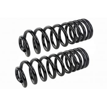 Mevotech SMS601V Coil Spring Set product image 1 of 1