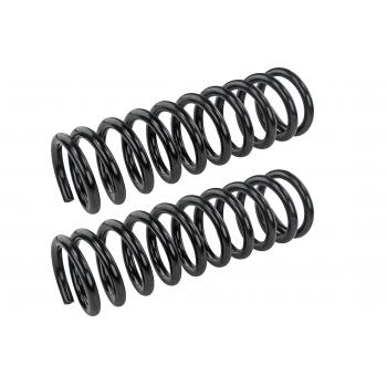 Mevotech SMS6033 Coil Spring Set product image 1 of 1
