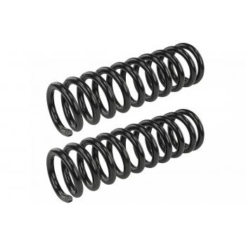 Mevotech SMS6041 Coil Spring Set product image 1 of 1