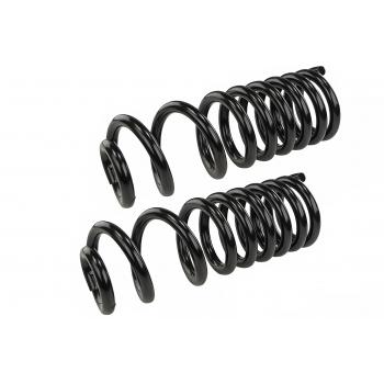 Mevotech SMS607V Coil Spring Set product image 1 of 2
