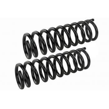Mevotech SMS6084 Coil Spring Set product image 1 of 1