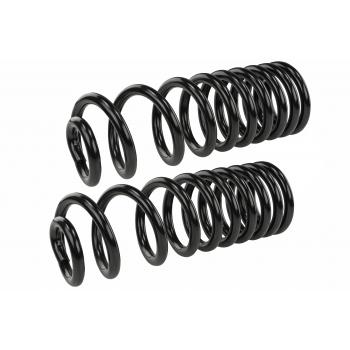 Mevotech SMS609V Coil Spring Set product image 1 of 1