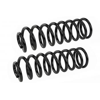 Mevotech SMS6187 Coil Spring Set product image 1 of 1