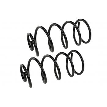 Mevotech SMS6197 Coil Spring Set product image 1 of 1