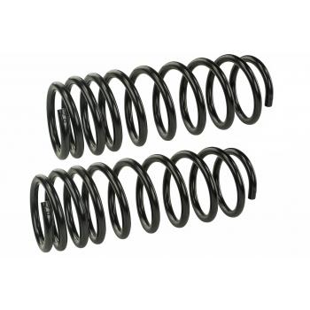 Mevotech SMS693V Coil Spring Set product image 1 of 1
