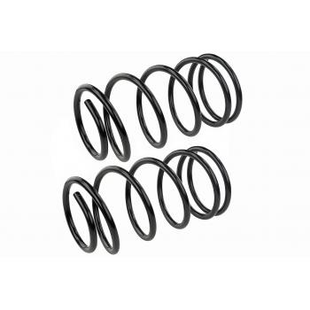 Mevotech SMS80839V Coil Spring Set product image 1 of 1