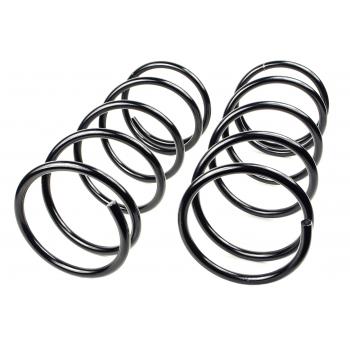 Mevotech SMS81036 Coil Spring Set product image 1 of 1