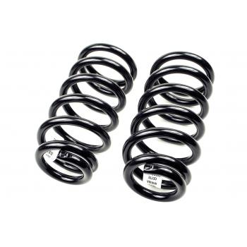 Mevotech SMS81095 Coil Spring Set product image 1 of 1