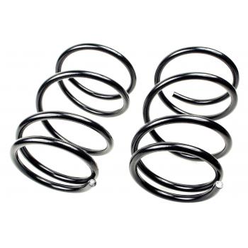 Mevotech SMS81336 Coil Spring Set product image 1 of 1