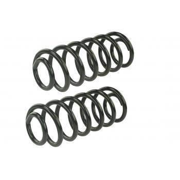 Mevotech SMS81638 Coil Spring Set product image 1 of 1