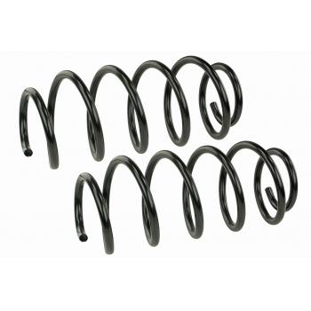 Mevotech SMS81641 Coil Spring Set product image 1 of 1