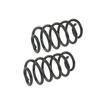 Mevotech SMS81646 Coil Spring Set product image 1 of 1