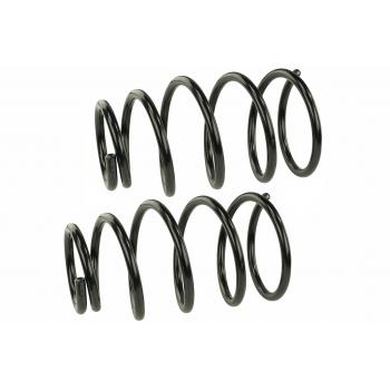 Mevotech SMS9646 Coil Spring Set product image 1 of 1