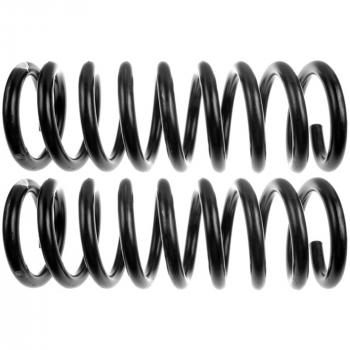 Moog 80918 Coil Spring Set product image 1 of 1