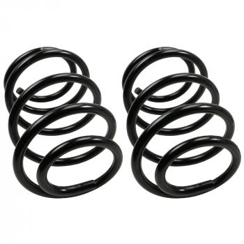 Moog 81057 Coil Spring Set product image 1 of 1