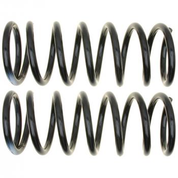 Moog 81407 Coil Spring Set product image 1 of 1