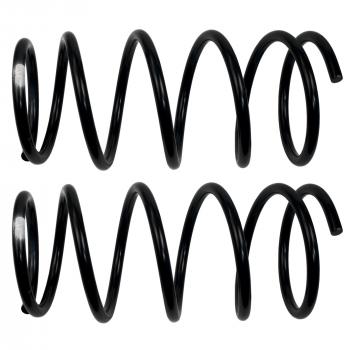 Moog 81621 Coil Spring Set product image 1 of 1