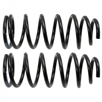 Moog 81680 Coil Spring Set product image 2 of 2