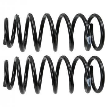 Moog 81681 Coil Spring Set product image 2 of 2