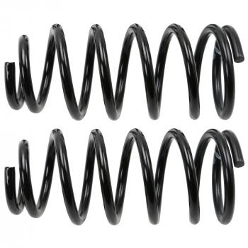 Moog 81682 Coil Spring Set product image 2 of 2