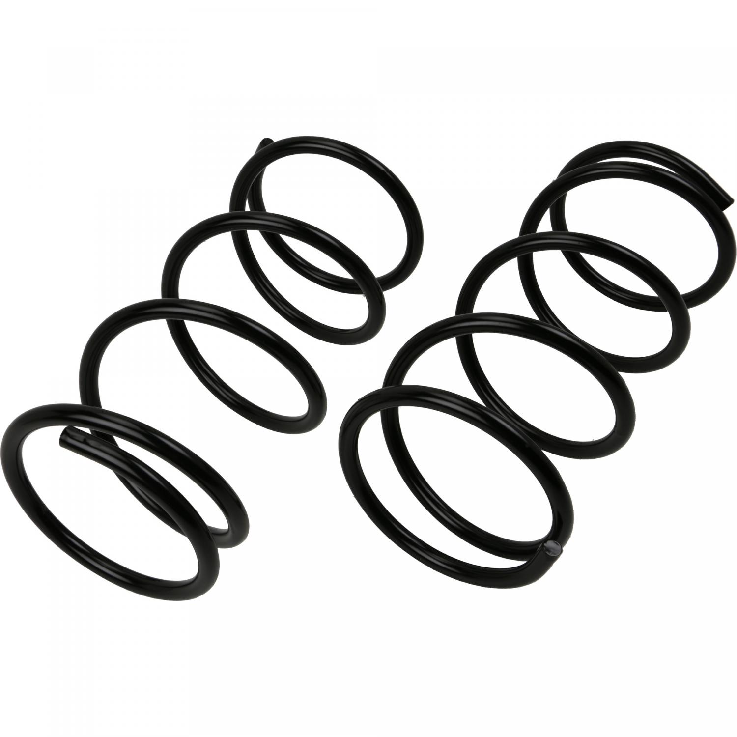 Moog 81755 Coil Spring Set product image 1 of 2